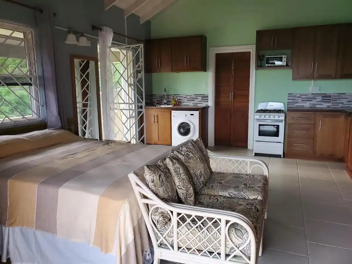 Nia'S Hillside Loft - Exquisite Views Apartment Gros Islet